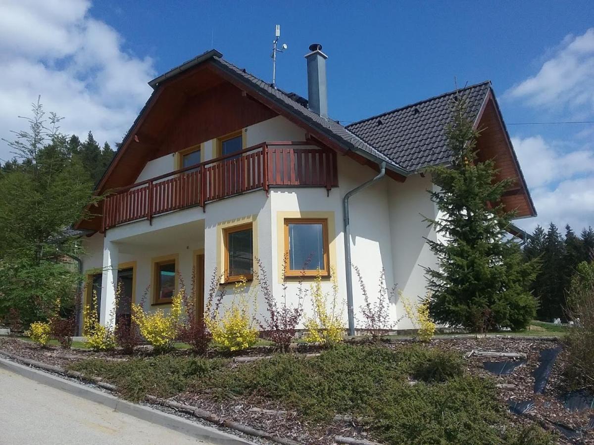 Villapark Lipno Dreams - Pet Friendly Lipno nad Vltavou Luaran gambar
